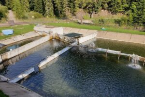 Pastravaria Bistra Montana