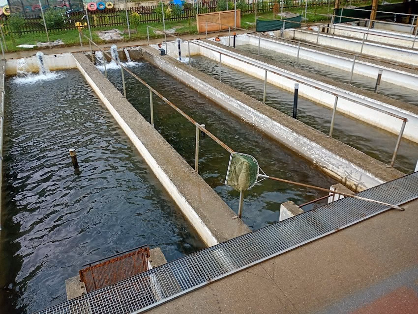 Păstrăvăria Cormaia