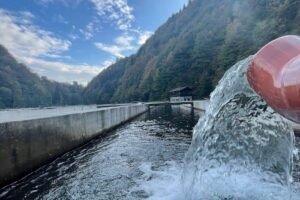 Păstrăvăria Cormaia Restaurant Sală Evenimente