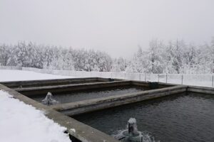 Pastravaria Crasna Gorj