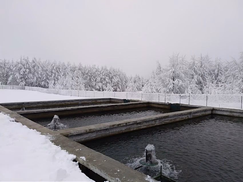 Pastravaria Crasna Gorj