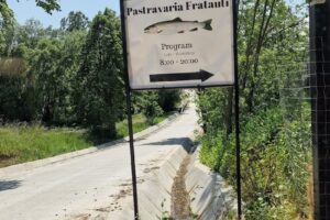 Păstrăvăria Frătăuți