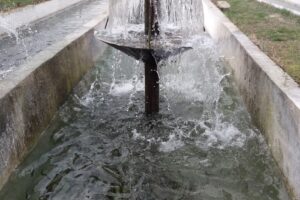 Păstrăvăria Ianca