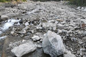 Păstrăvăria Înţărcătoarea Mănăstirea Cașin