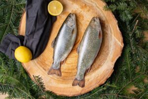 Pastravaria Pustnicului