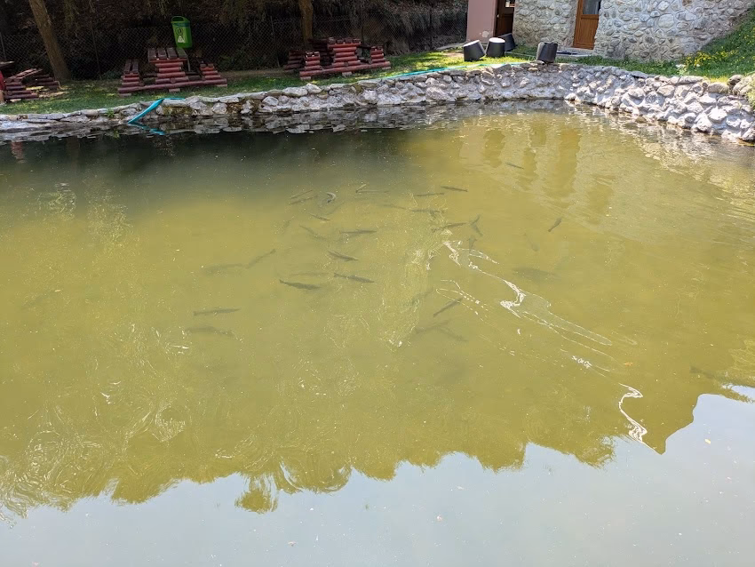 Păstrăvăria Romani