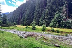 Păstrăvăria Stegioara