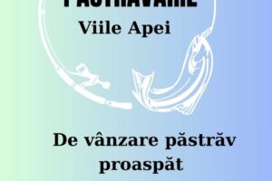 Pastravaria Viile apei