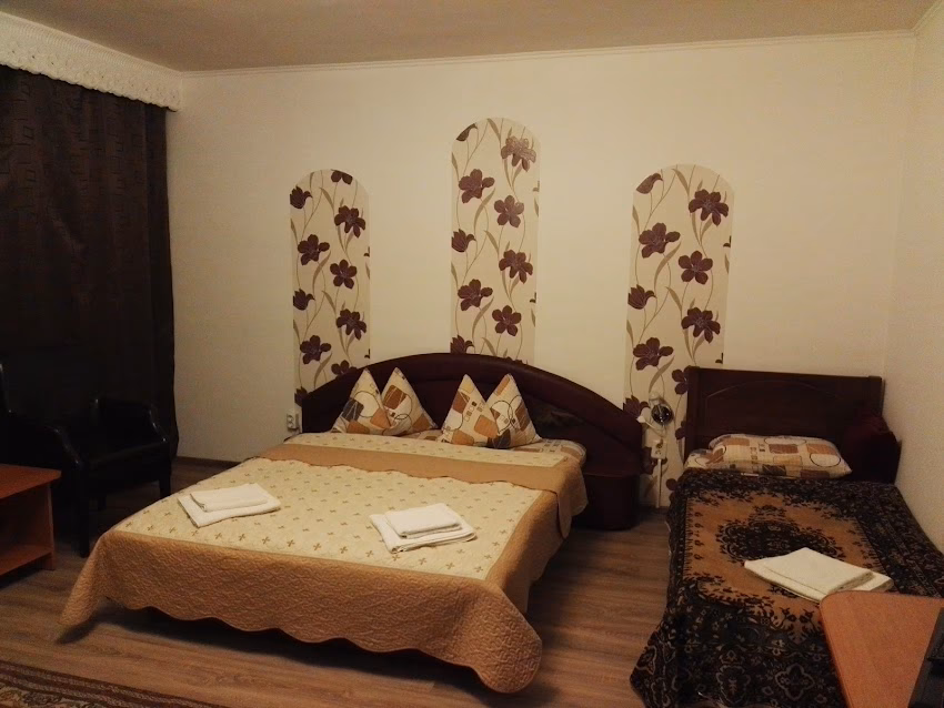 Pensiune Aurica Leșe