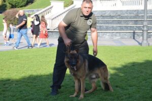 Pensiune Canina Scoala Dresaj