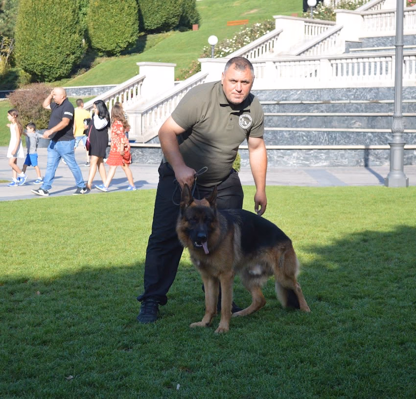 Pensiune Canina Scoala Dresaj