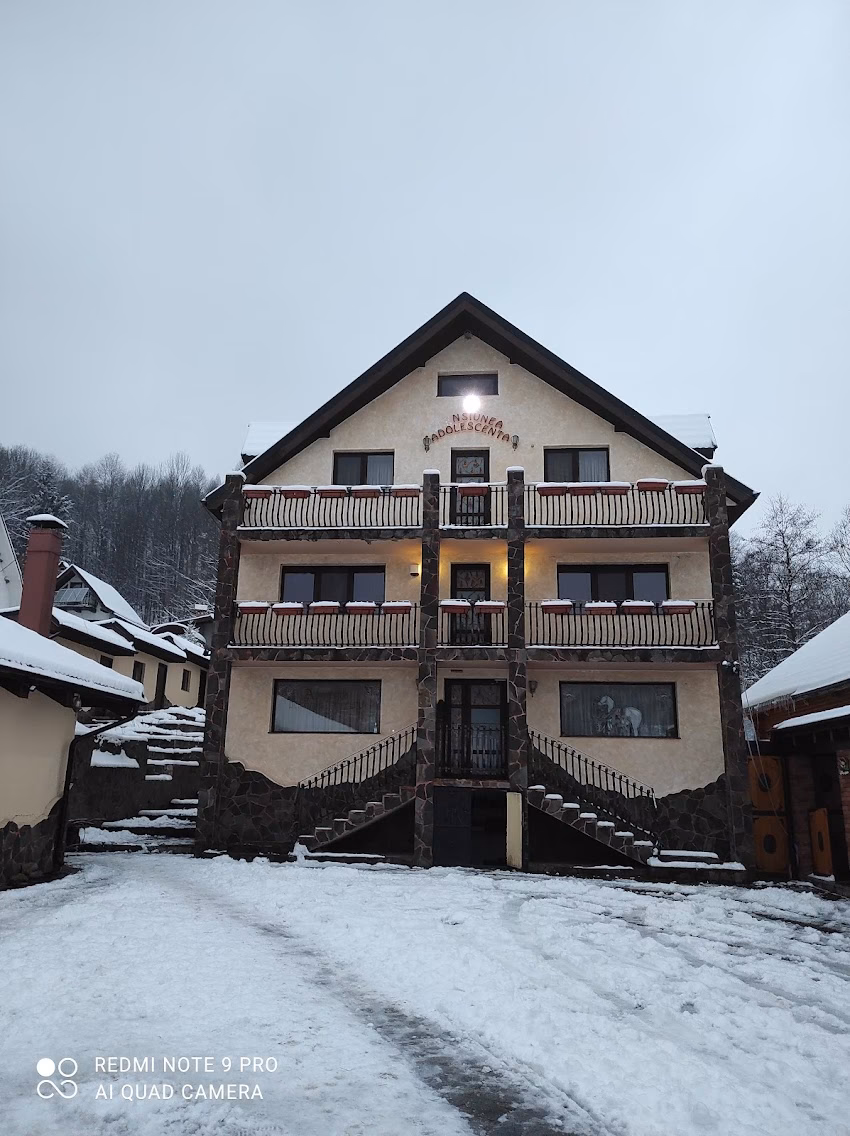 Pensiunea Adolescența