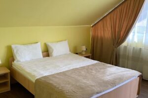 Pensiunea Albert Valea Avrigului