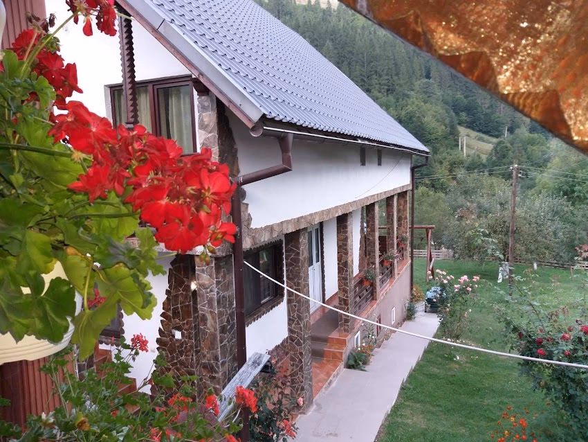 Pensiunea Andra Albac