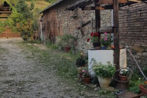 Pensiunea Cartref Saschiz