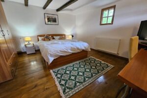 Pensiunea Casa cu Turn SarataMonteoru Buzau