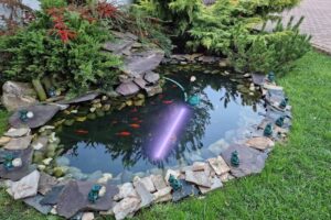 Pensiunea Casa Zărneșteană