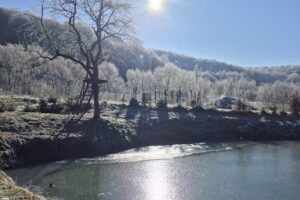 Pensiunea Cerbul Dobârlău