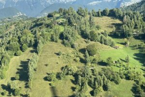 Pensiunea Drumul Carului