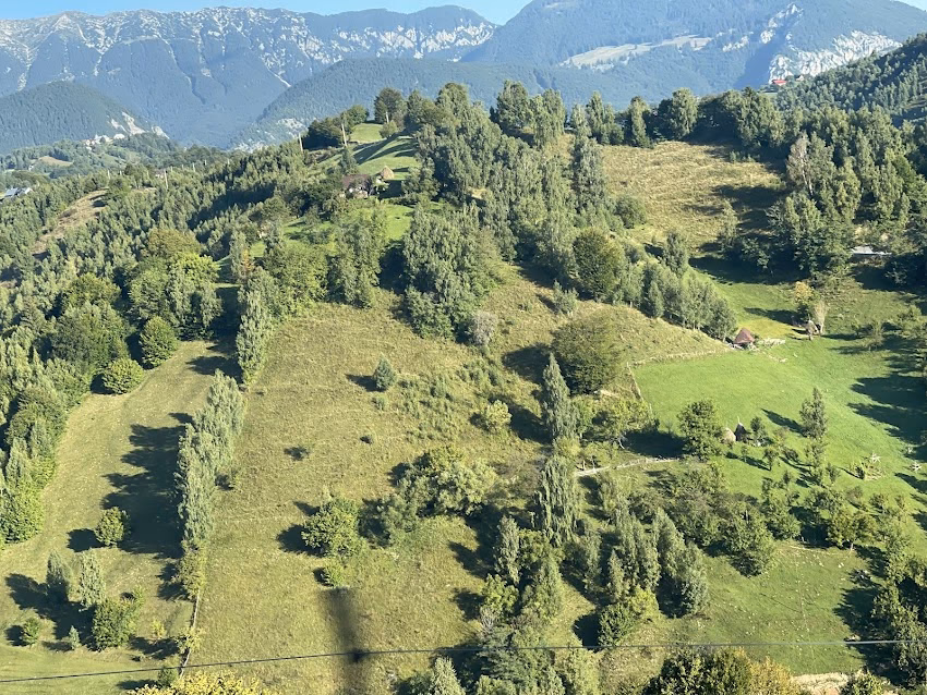 Pensiunea Drumul Carului