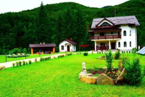 Pensiunea Floare de Mălin