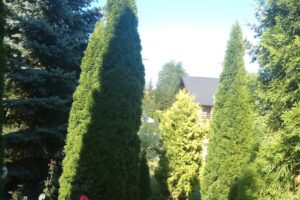 Pensiunea Hanul lui Matei 2