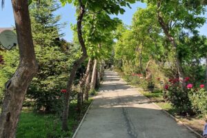 Pensiunea Privighetoarea