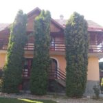 Pensiunea Rapsodia Munților