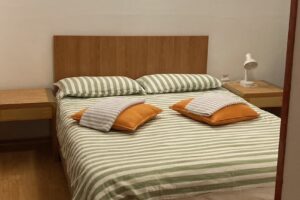 Pensiunea Rapsodia Munților