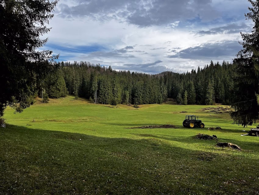 Pensiunea Scarisoara