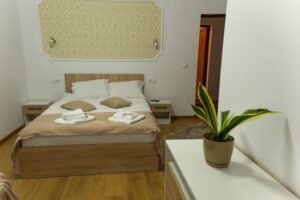 Pensiunea Vadu Izei Cazare Restaurant Piscină Sală de Evenimente