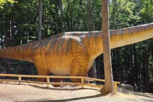 Pensiunea Valea Cetății