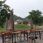 Pensiunea Valea Lupului