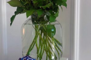 Performance Consulting