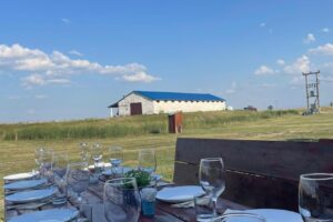 Pescăria Chișineu Criș