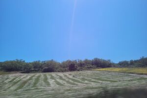 Pescuit Sportiv Mandresti