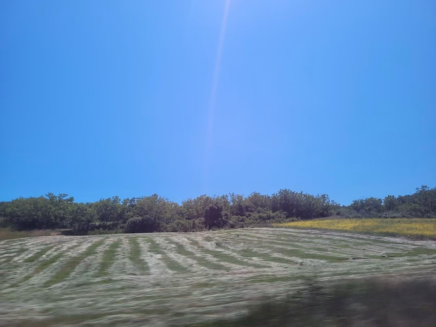 Pescuit Sportiv Mandresti