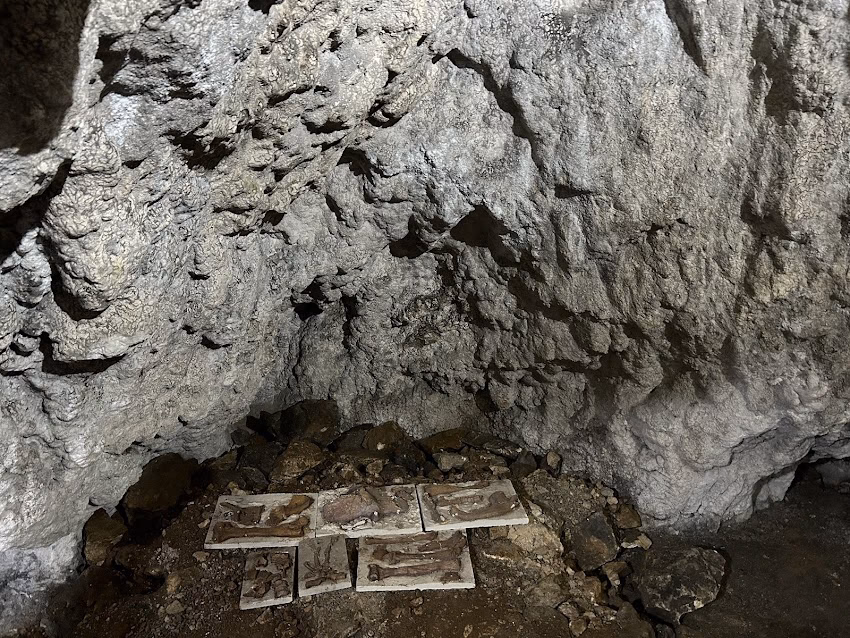 Peștera Dâmbovicioara