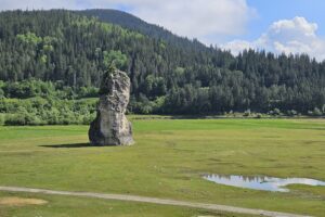 Piatra Teiului Piatra Dracului