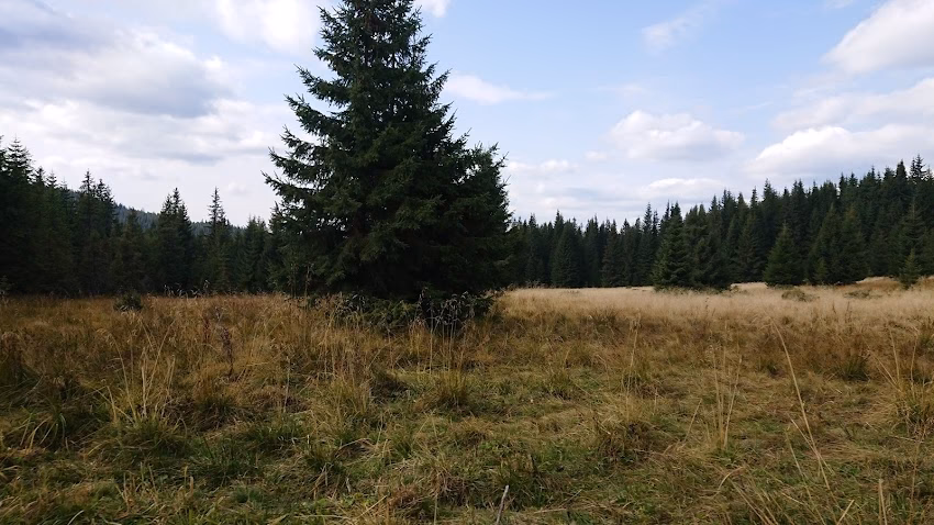 Pietrele Cântătoare