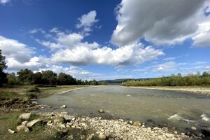 Podul lui Ștefan cel Mare