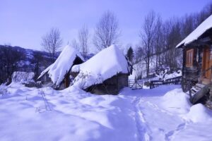 Poienile de sub Munte