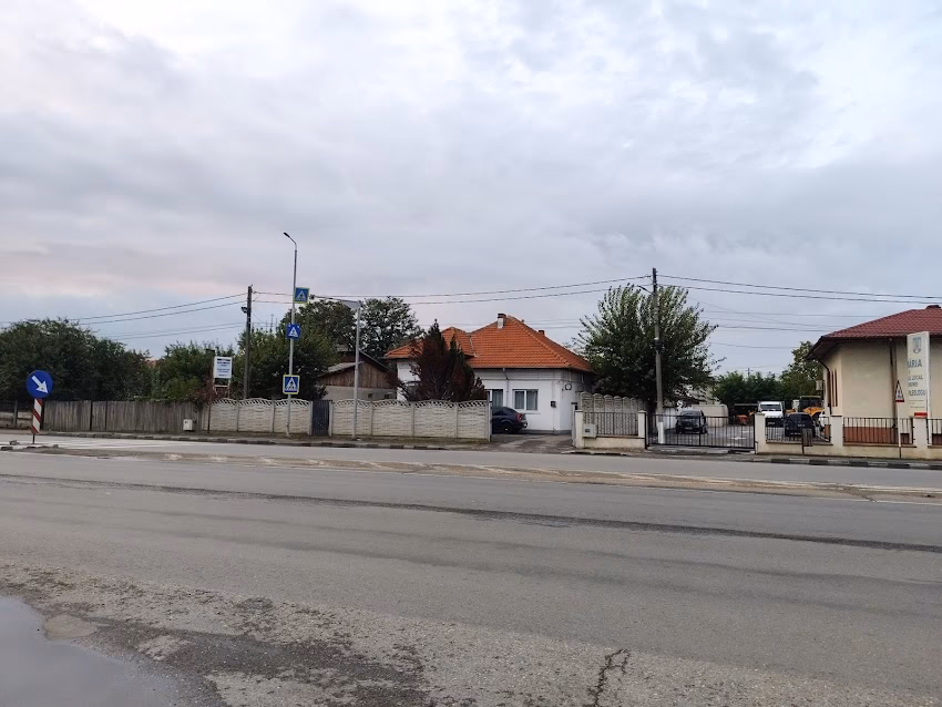 Poliţia AlbeștiPaleologu