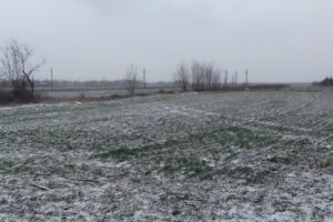 Poliţia Valea Măcrişului