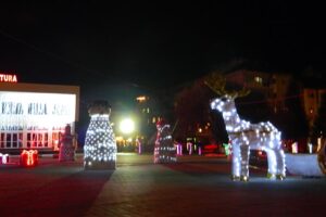 Politicienii Români