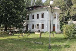 Portul Cultural al com Cetate