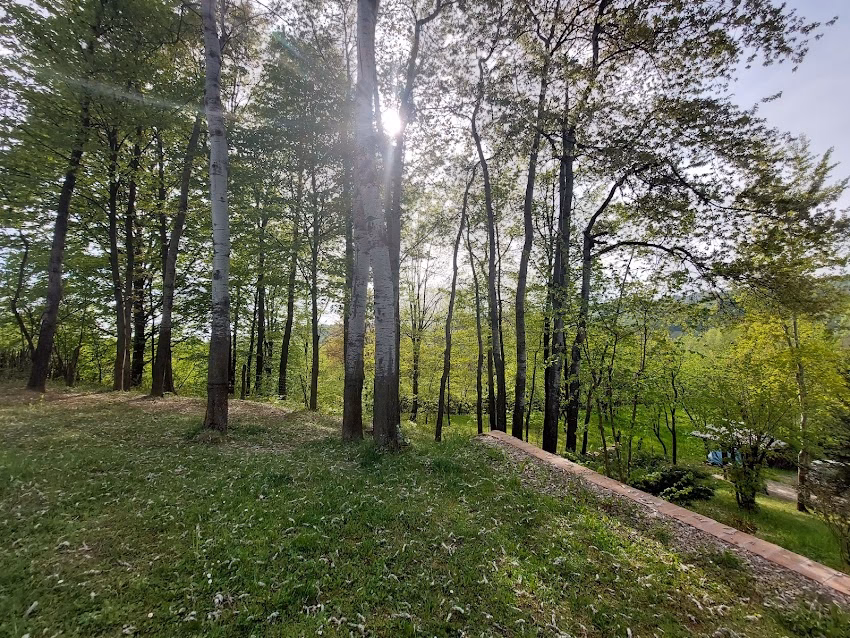 Premium Villa for Groups MontePalazzo Elisabeta