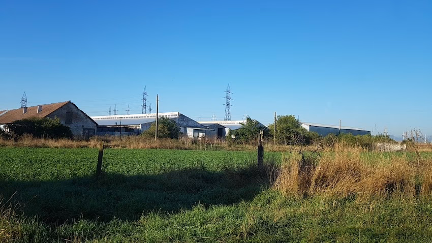 Prestige Transilvania S R L