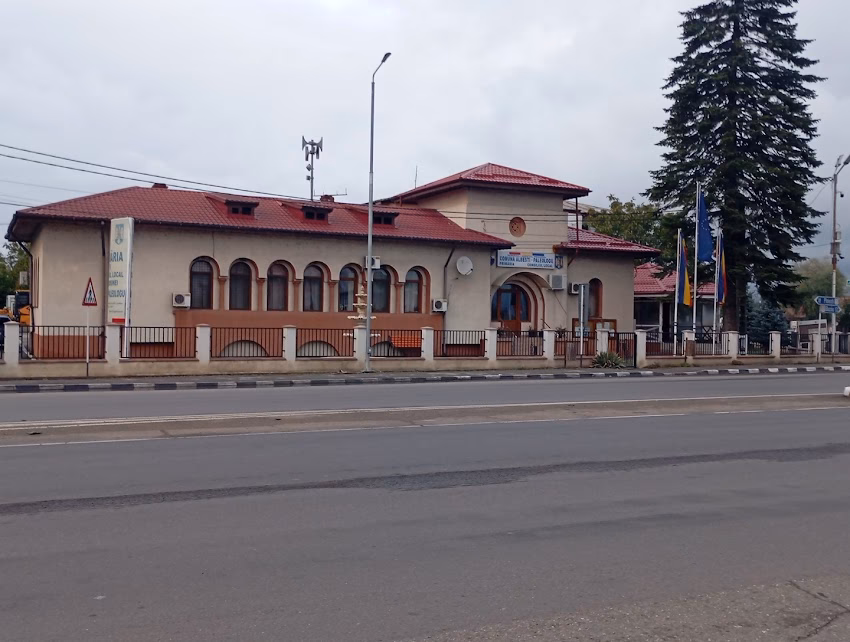 Primăria AlbeștiPaleologu