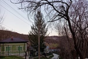 Primaria AriceștiiZeletin